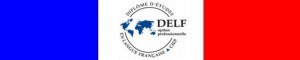 WEB Logo DELF
